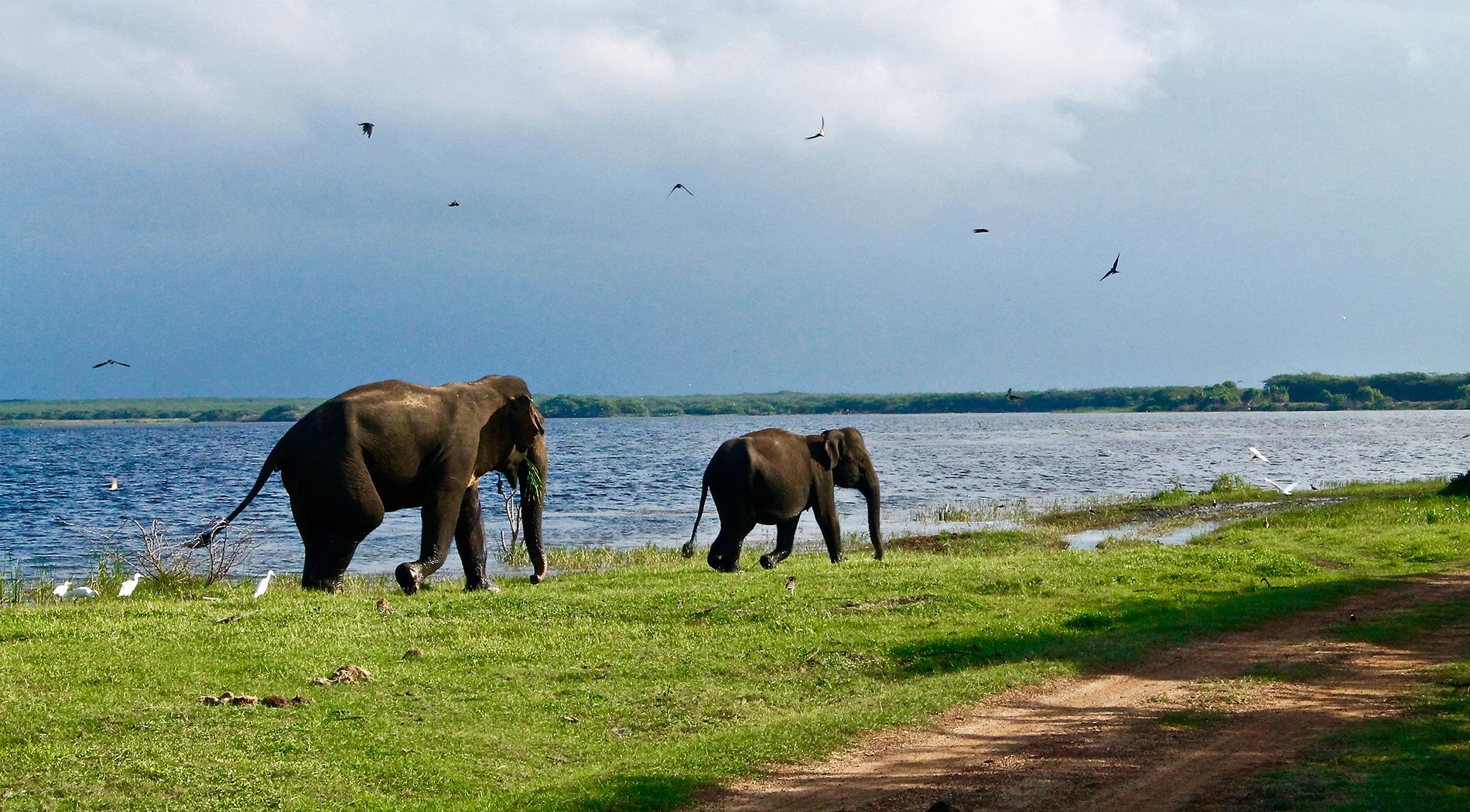 Sri Lanka
